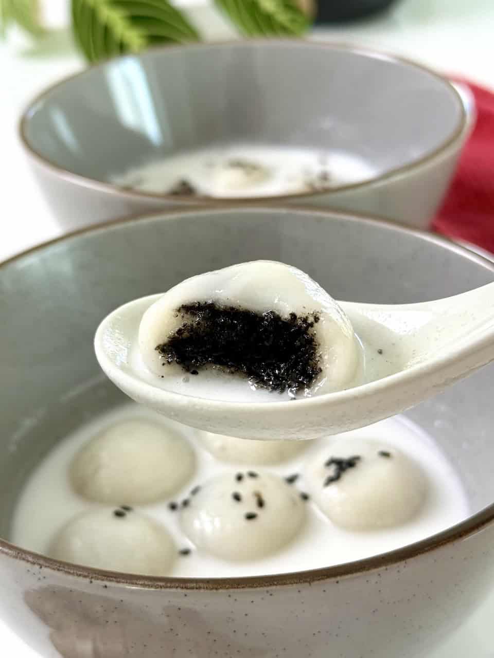 Black Sesame Glutinous Rice Balls in Coconut Ginger Soup - 3