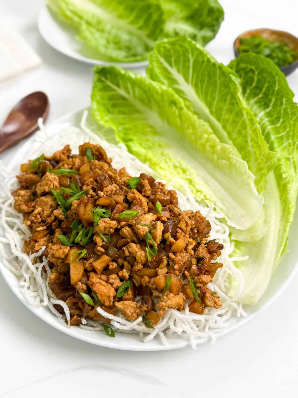 Chicken Lettuce Wraps (P.F. Chang's Inspired) Body 1
