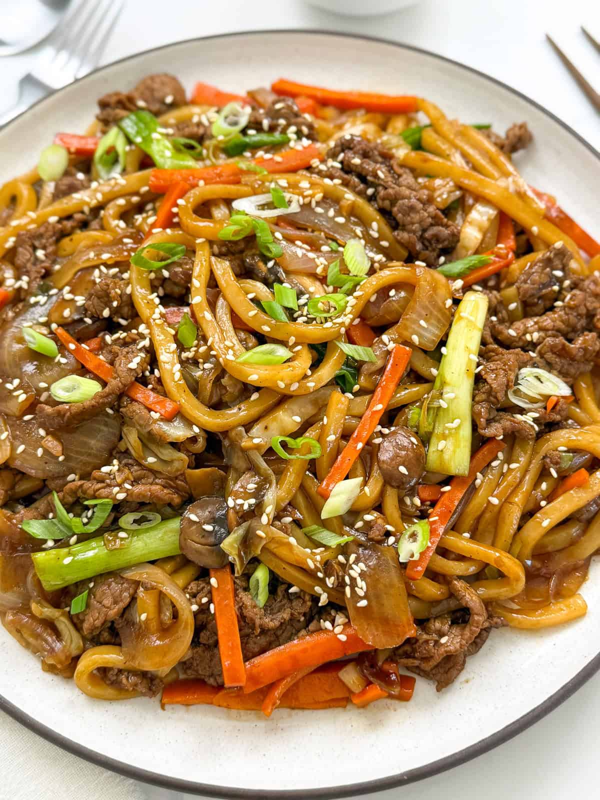 Beef Yaki Udon Noodles Stir-Fry Body 3
