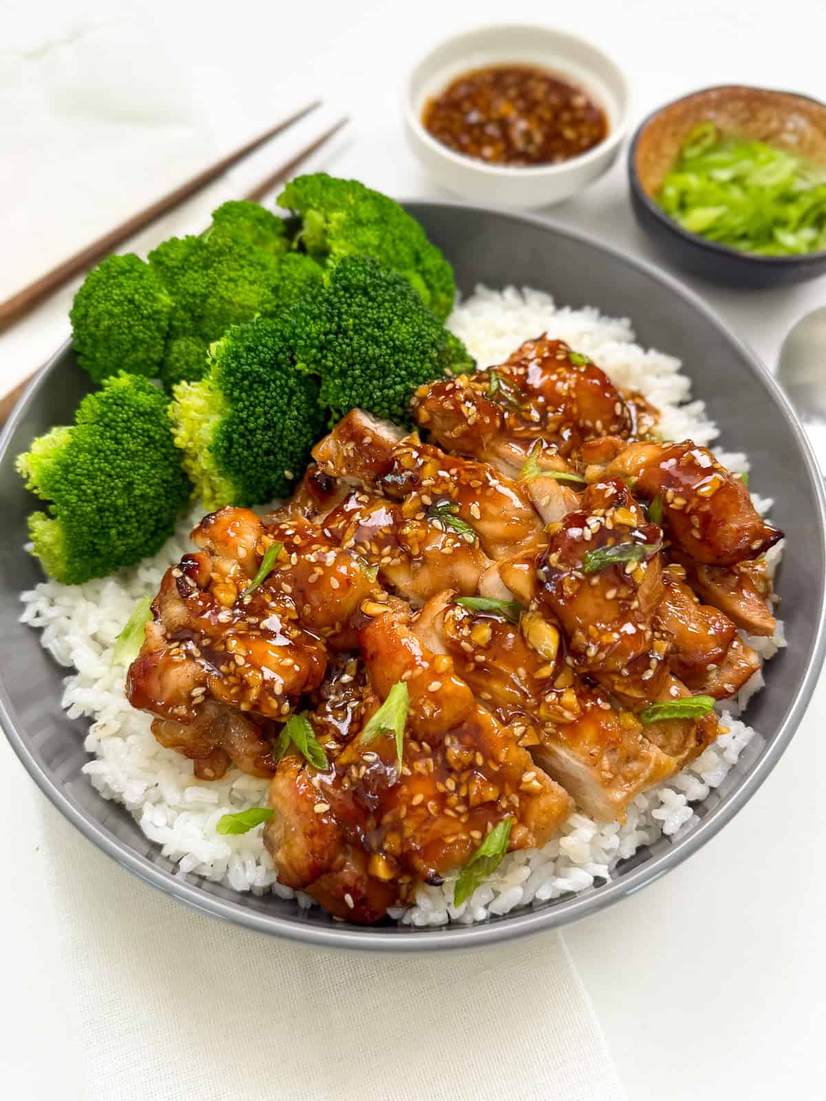 Teriyaki Chicken Body 1