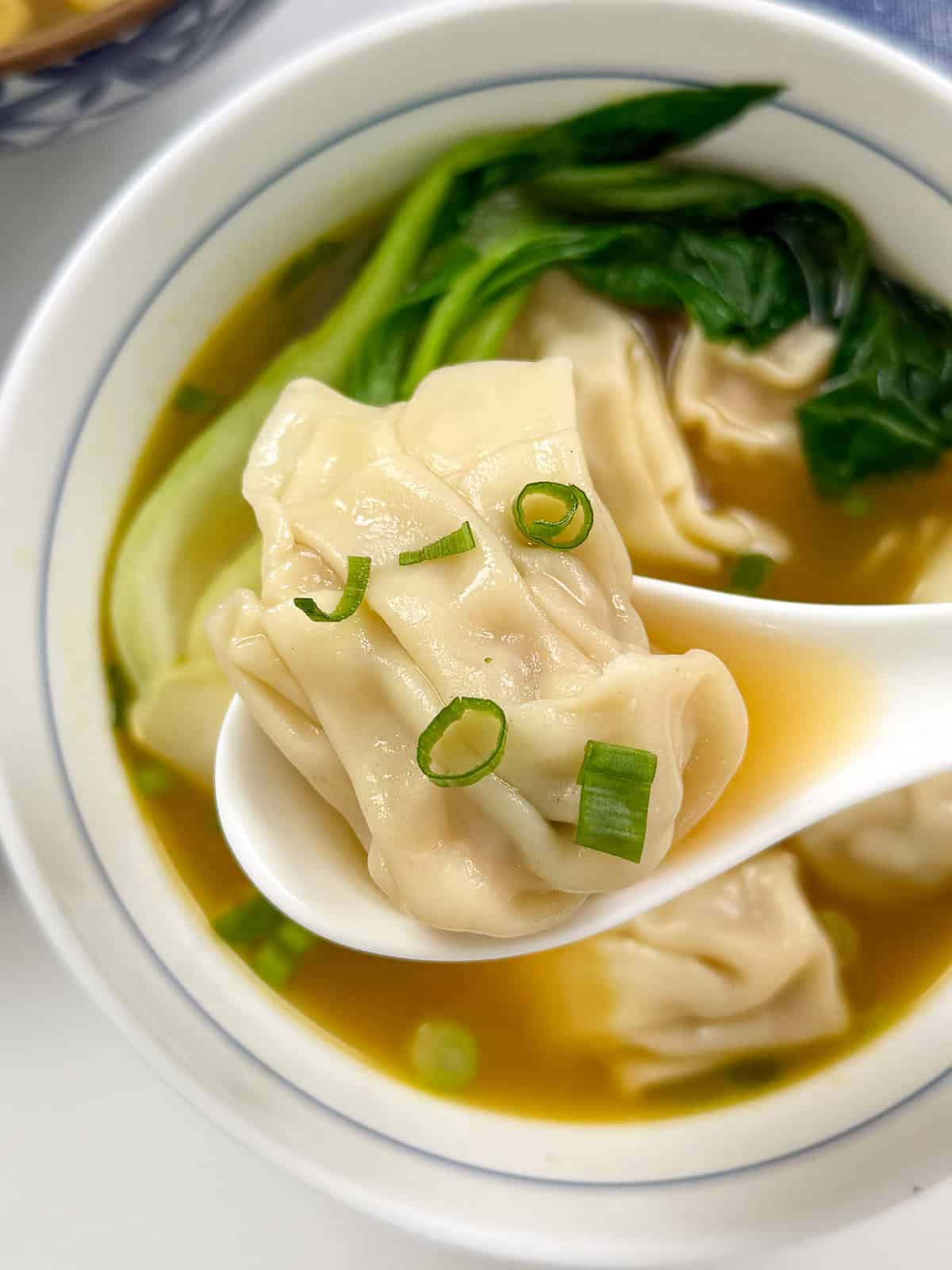 Easy Wonton Soup Recipe single wonton zoomed in
