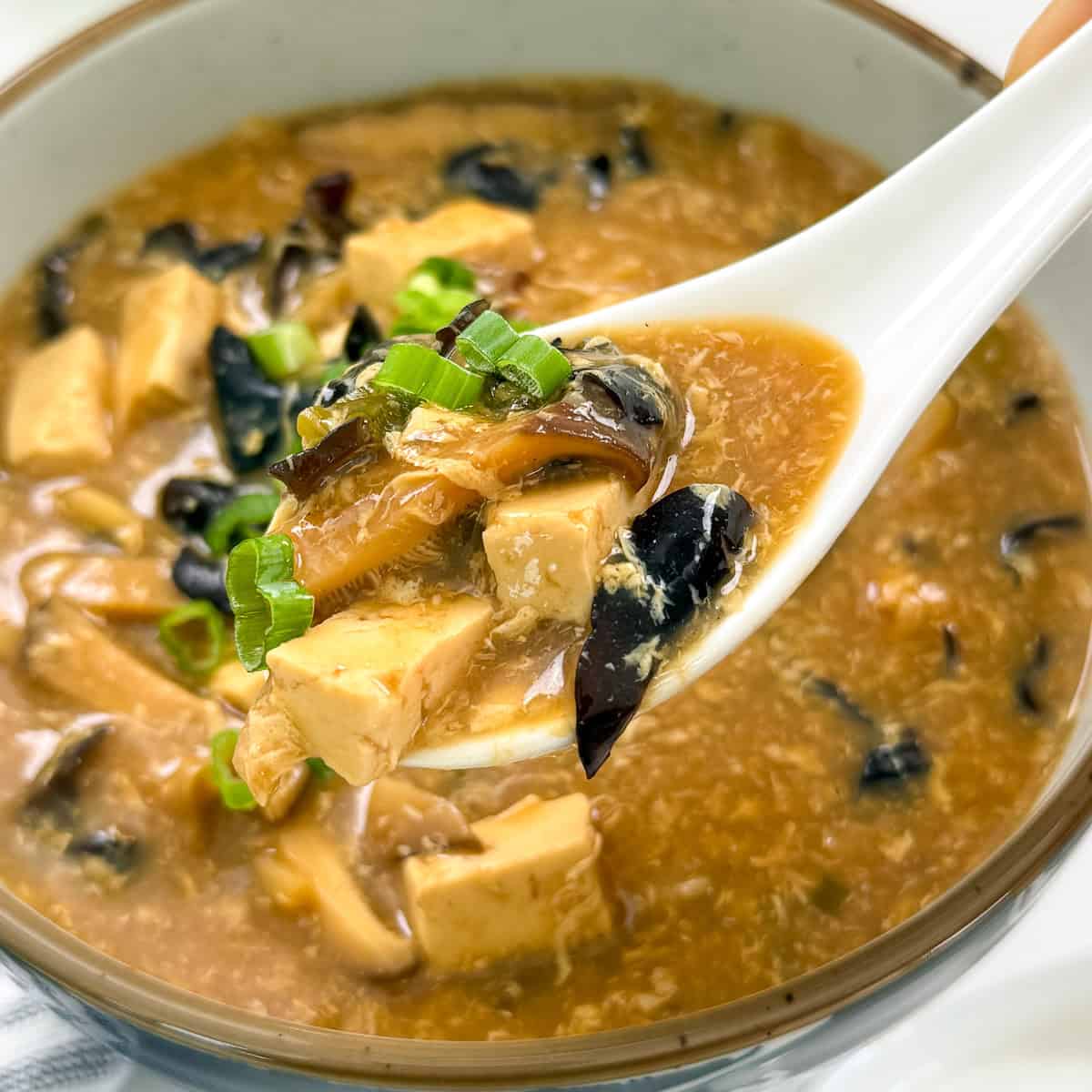 Hot and Sour Soup with green onions on top in a bowl featured view