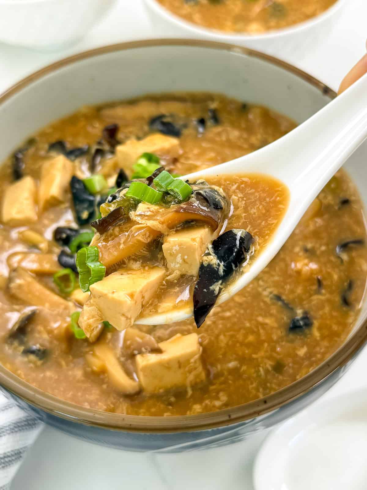 Hot and Sour Soup with green onions on top in a bowl main view