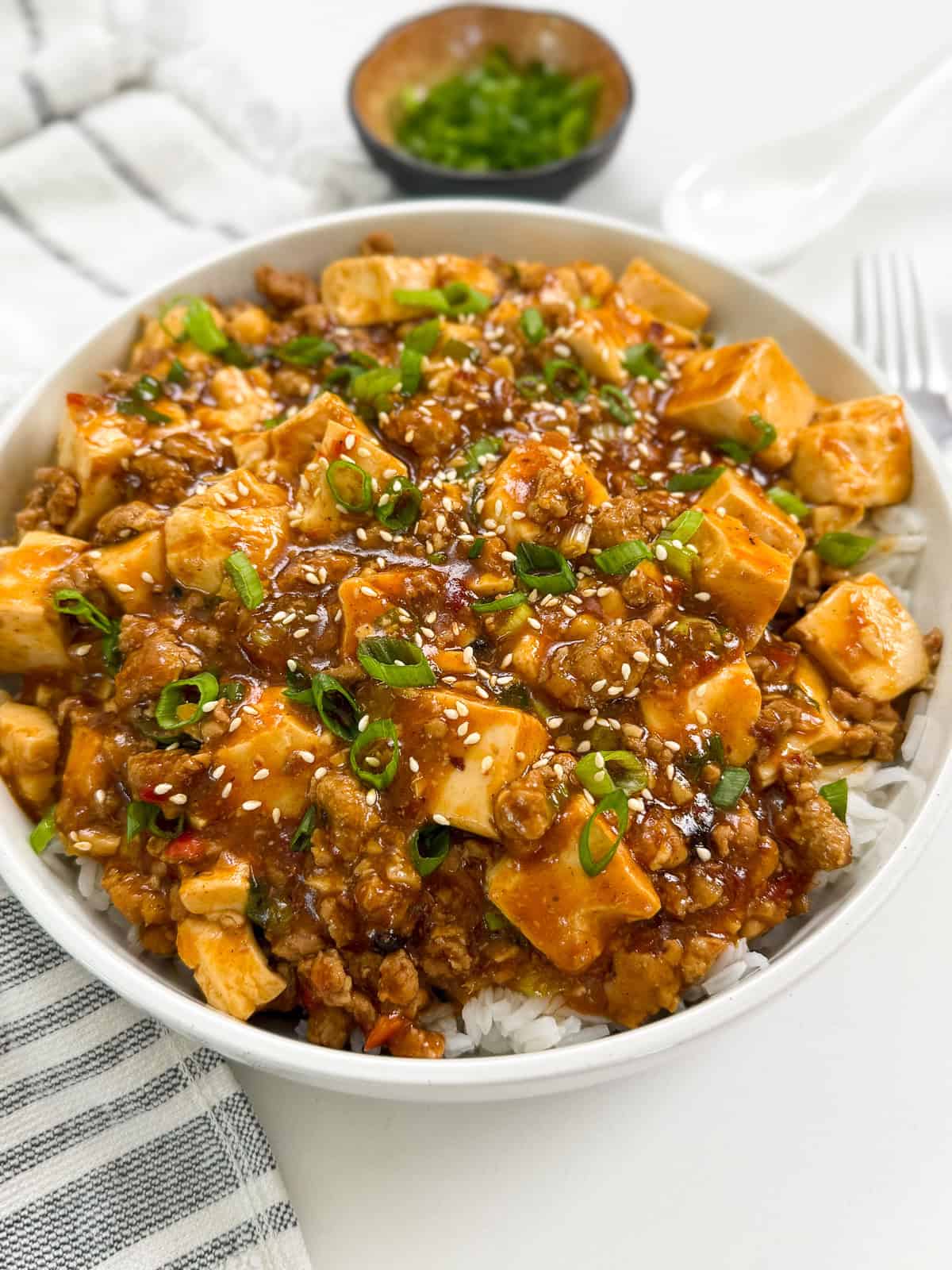 Mapo Tofu Recipe on top of white rice in a bowl side view