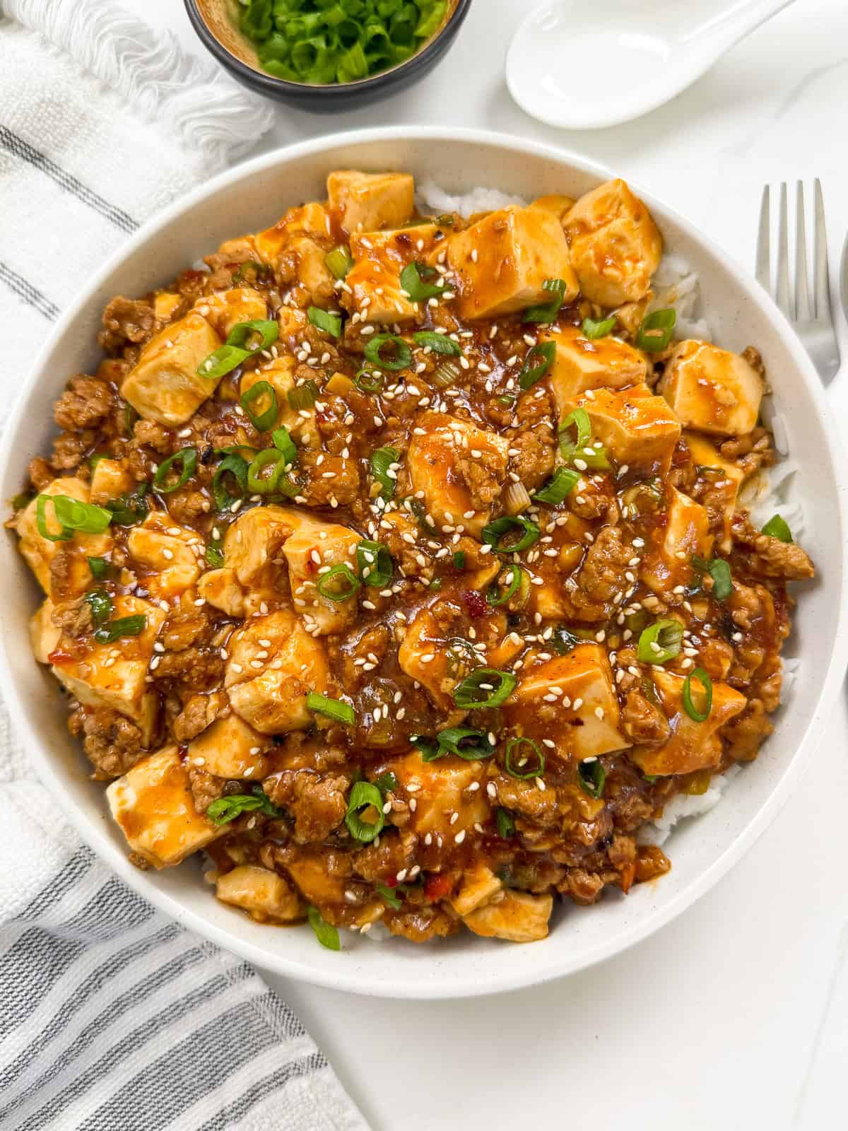 Mapo Tofu Recipe on top of white rice in a bowl main view