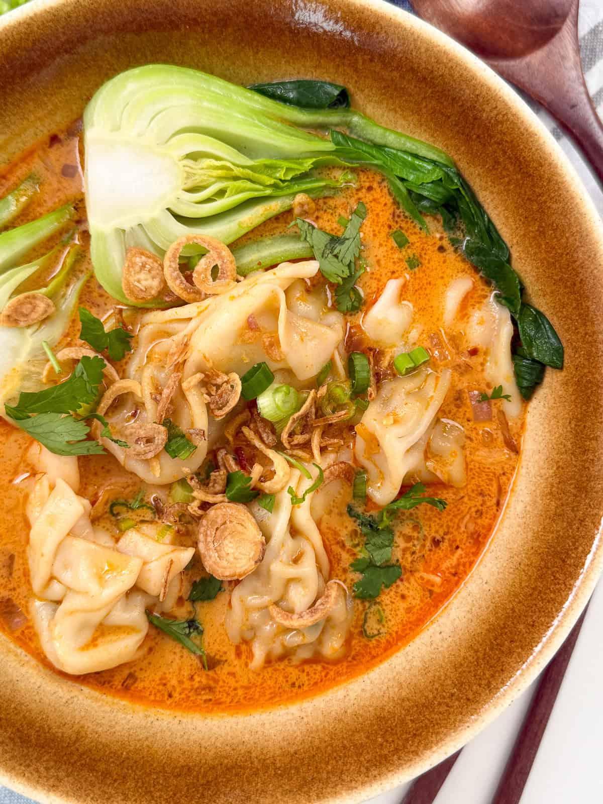 Thai Red Curry Wonton Soup in a bowl with bok choy and fried shallots top down view