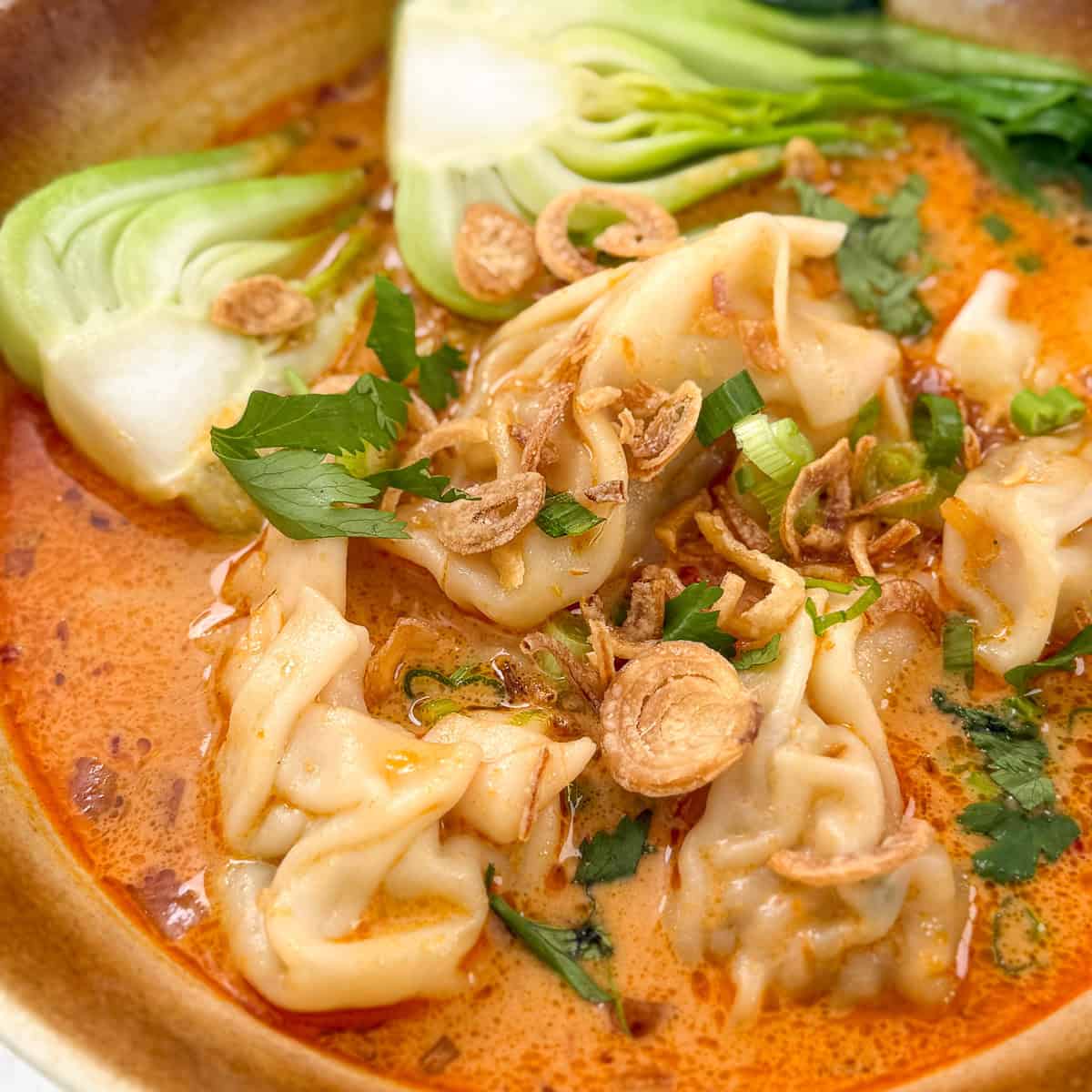 Thai Red Curry Wonton soup in a bowl with bok choy and fried shallots