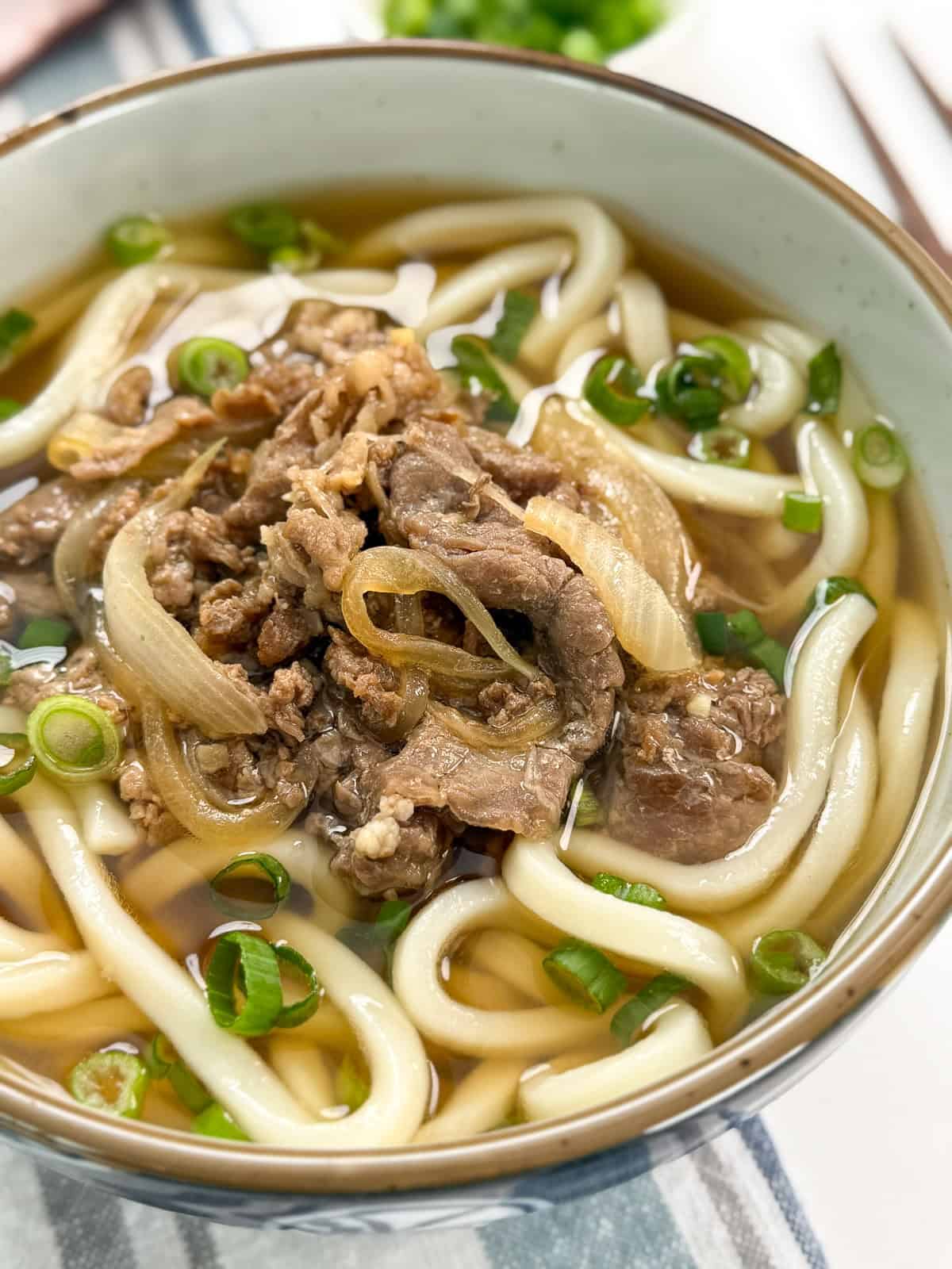 A bowl of udon noodle soup topped with sliced beef, onions, and chopped green onions in a clear broth, placed on a striped cloth.