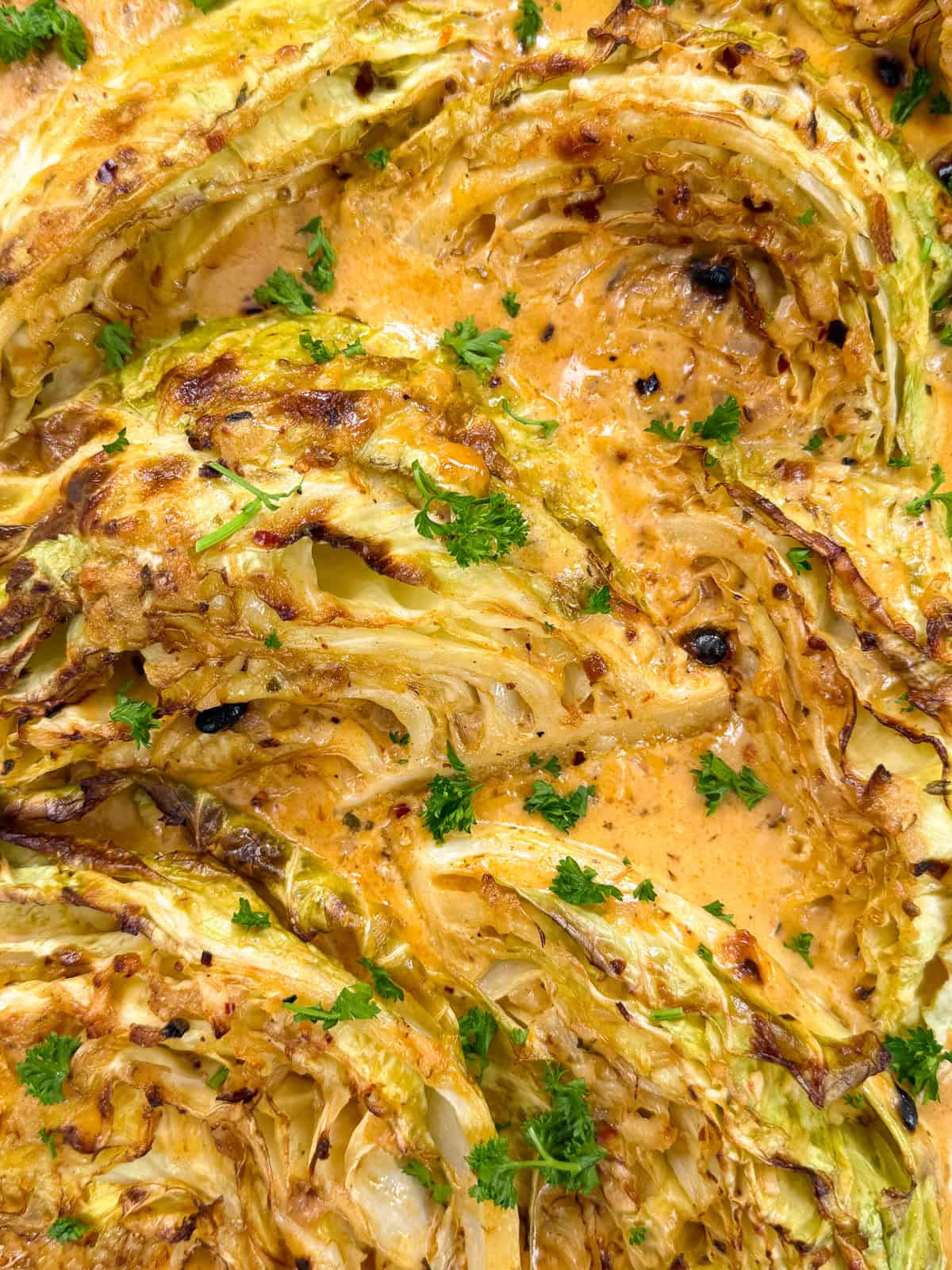 Close-up of roasted cabbage wedges topped with fresh chopped parsley, coated in a creamy orange sauce with browned, crispy edges throughout.