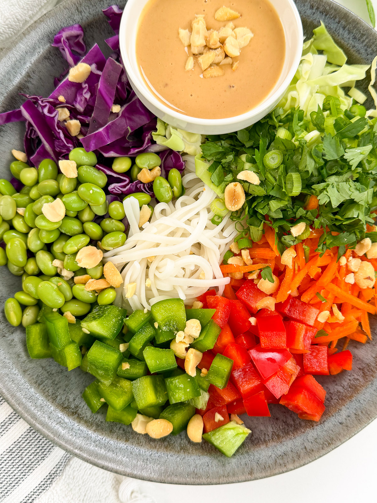 A bowl of Thai Noodle Salad with Peanut Dressing features colorful sections: shredded purple and green cabbage, edamame, rice noodles, cilantro, peanuts, red and green bell peppers, carrots, and a bowl of creamy peanut sauce.