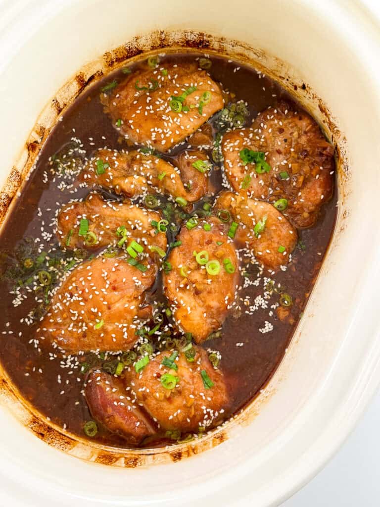 Slow Cooker Honey Garlic Chicken - Herman at Home