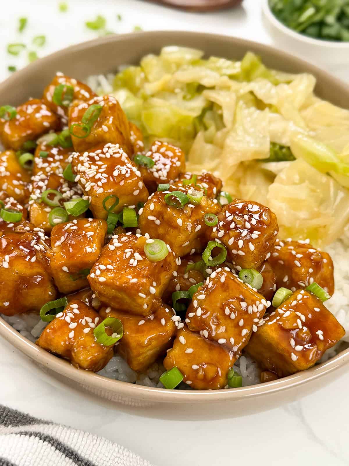 A bowl of rice topped with Honey Butter Crispy Tofu cubes glazed to perfection, sprinkled with sesame seeds and chopped green onions, served with sautéed cabbage on the side.