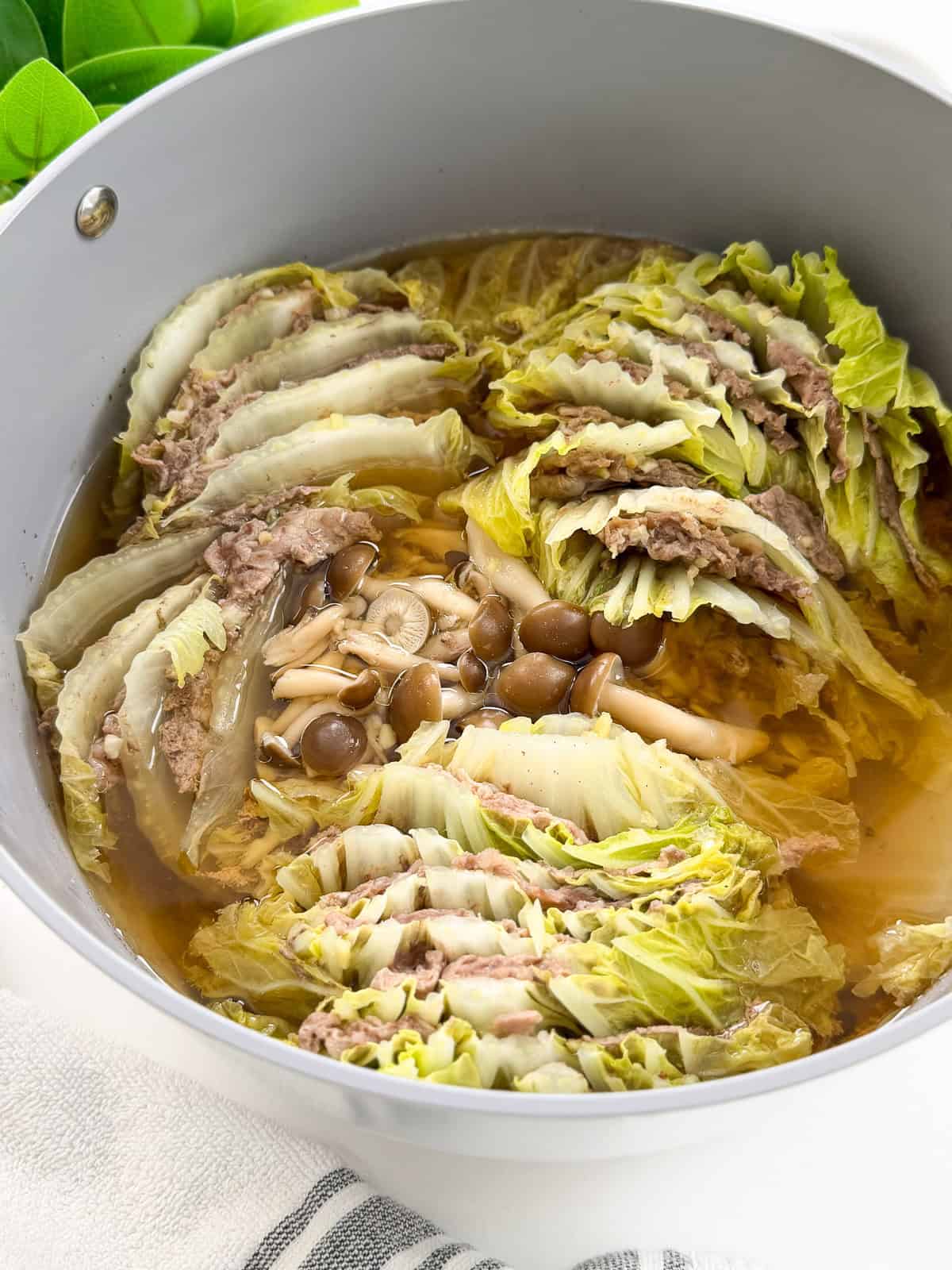 A Mille-Feuille Nabe (Japanese Hot Pot) features a pot filled with layered napa cabbage and thin slices of meat in broth, with mushrooms nestled in the center, cooking gently on a stovetop.