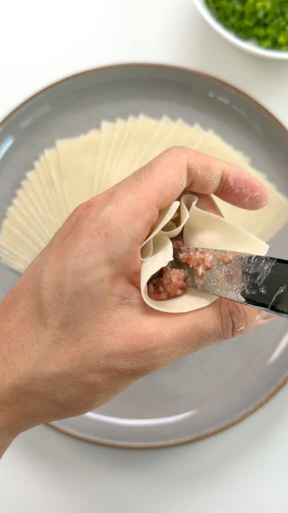 A hand holds a wonton wrapper, filling it with ground meat using a knife. A plate with more wrappers and a bowl of chopped green onions are visible in the background.
