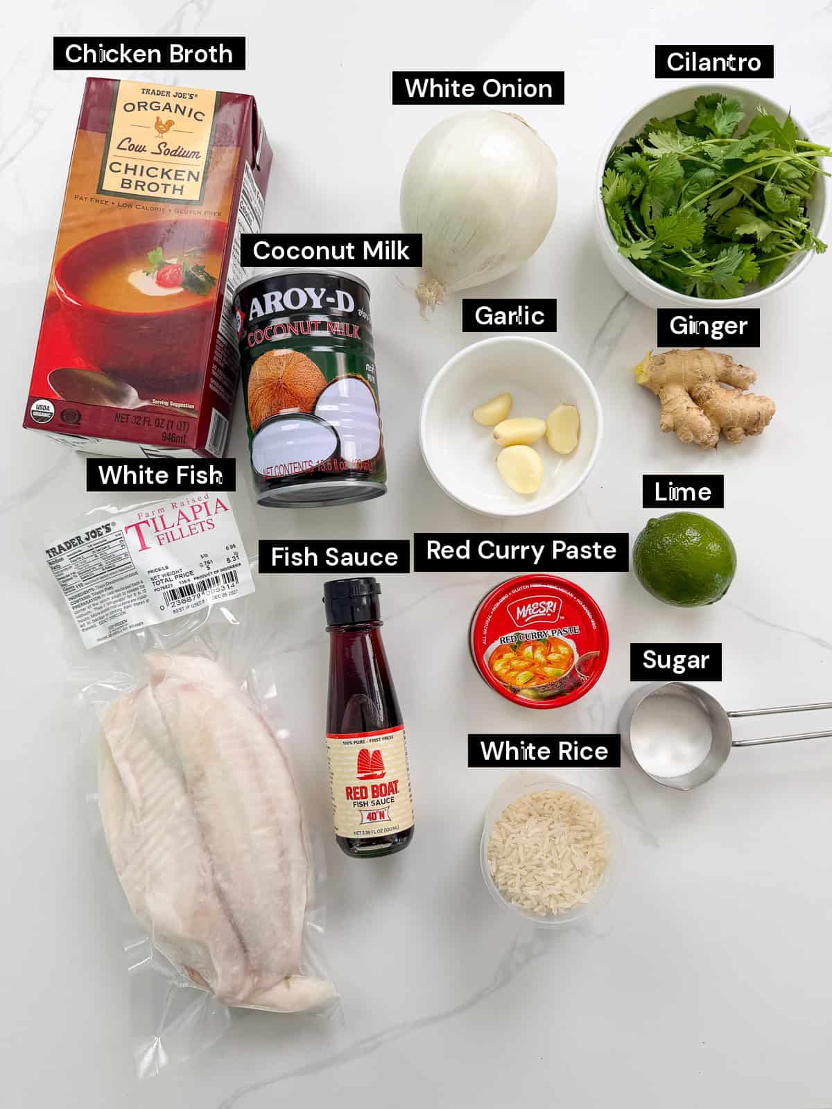 Ingredients for a Thai-style fish curry laid out on a white surface, labeled: chicken broth, white onion, cilantro, coconut milk, garlic, ginger, tilapia fillets, fish sauce, red curry paste, lime, sugar, and white rice.